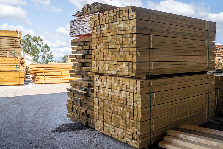 Madeiras para Construção Civil