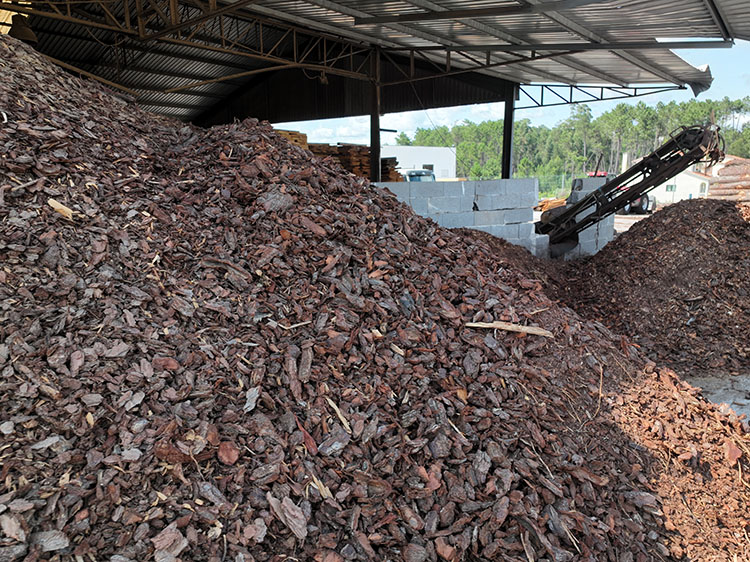 Derivados de Madeira